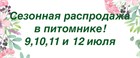 Сезонная распродажа!