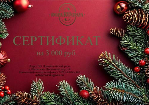 Подарочный сертификат 3 000 17796