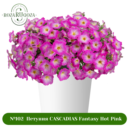 №102 Петуния CASCADIAS Fantasy Hot Pink 32234
