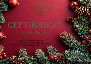 Подарочный сертификат 3 000 17796