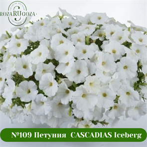 №109 Петуния  CASCADIAS Iceberg 32237
