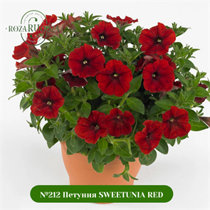 №212 Петуния SWEETUNIA RED 32316