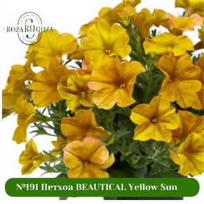 №191 Петхоа BEAUTICAL Yellow Sun 191/32346