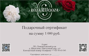 Подарочный сертификат 1 000 17794