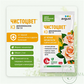 {{photo.Alt || photo.Description || 'Фунгицид Чистоцвет'}}