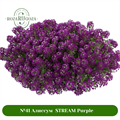 №41 Алиссум  STREAM Purple 2406