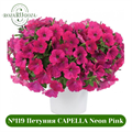 №119 Петуния CAPELLA Neon Pink 3208