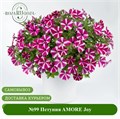 №99 Петуния AMORE Joy 99/53